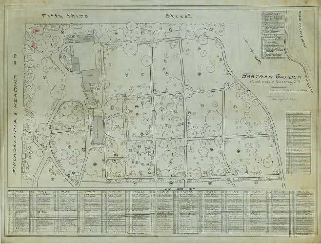 Planting Plan, Bartram's Garden (East side)