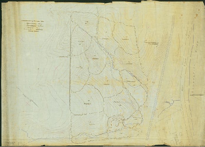 Replanting Plan Beechwood Tract