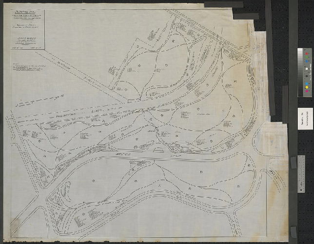 Planting Plan, Wister's Woods Park, 22nd & 42nd Wards, Philadelphia, Pa.
